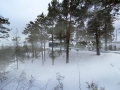 UTOYA-2