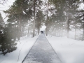 UTOYA-3